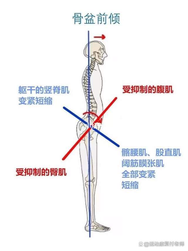 股四頭肌訓練椅使用方法_股四頭肌訓練椅_股四頭肌訓練椅子